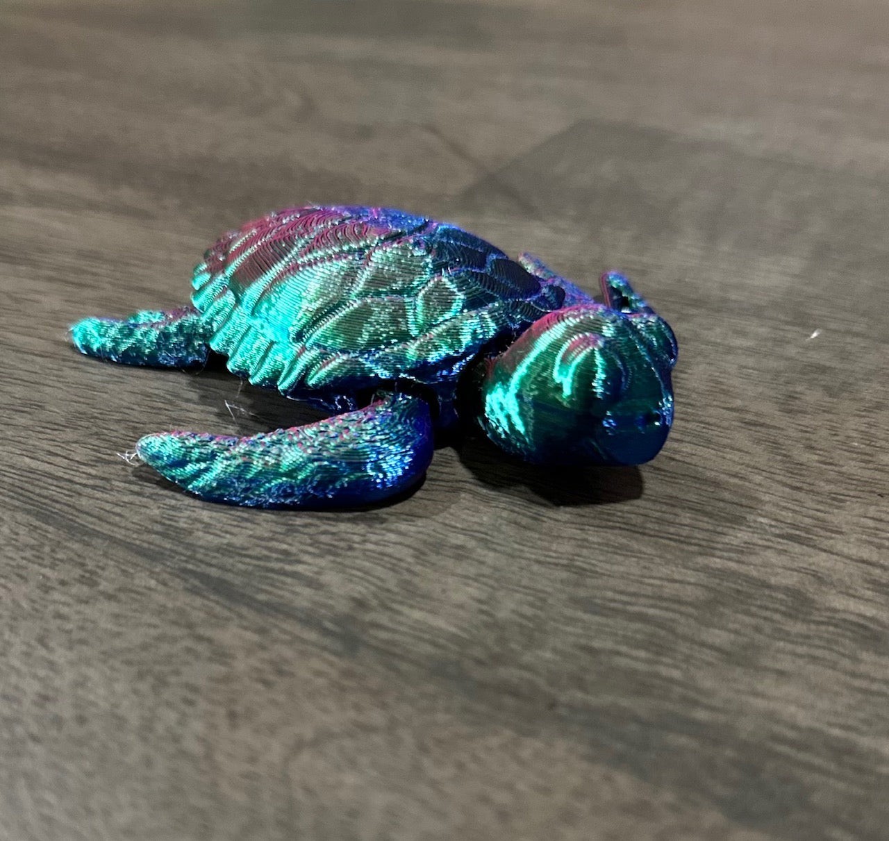 Sea Turtle